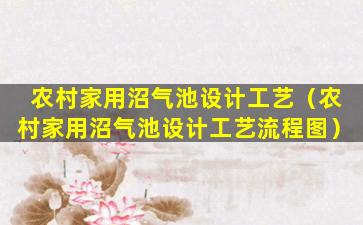 农村家用沼气池设计工艺（农村家用沼气池设计工艺流程图）
