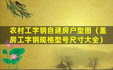 农村工字钢自建房户型图（盖房工字钢规格型号尺寸大全）