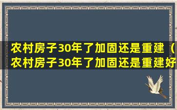 农村房子30年了加固还是重建（农村房子30年了加固还是重建好）