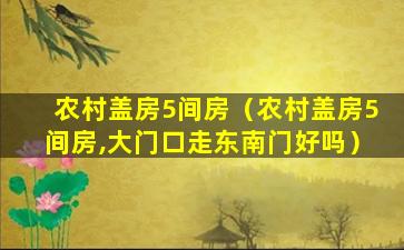 农村盖房5间房（农村盖房5间房,大门口走东南门好吗）