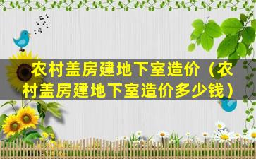 农村盖房建地下室造价（农村盖房建地下室造价多少钱）