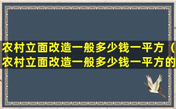 农村立面改造一般多少钱一平方（农村立面改造一般多少钱一平方的）