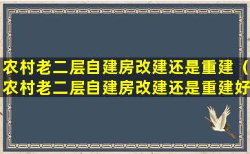 农村老二层自建房改建还是重建（农村老二层自建房改建还是重建好些）