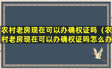 农村老房现在可以办确权证吗（农村老房现在可以办确权证吗怎么办）