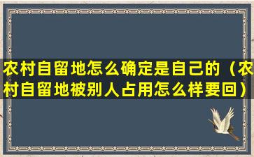 农村自留地怎么确定是自己的（农村自留地被别人占用怎么样要回）