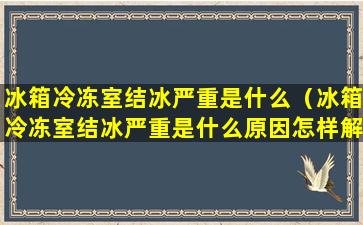 冰箱冷冻室结冰严重是什么（冰箱冷冻室结冰严重是什么原因怎样解决）