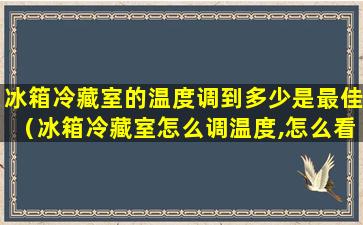 冰箱冷藏室的温度调到多少是最佳（冰箱冷藏室怎么调温度,怎么看大小的）