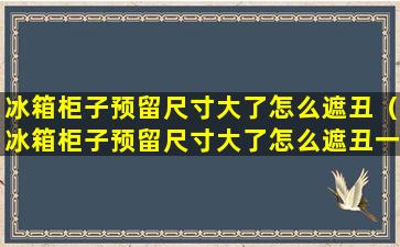 冰箱柜子预留尺寸大了怎么遮丑（冰箱柜子预留尺寸大了怎么遮丑一点）