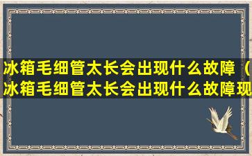 冰箱毛细管太长会出现什么故障（冰箱毛细管太长会出现什么故障现象）