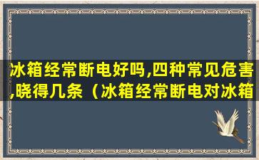 冰箱经常断电好吗,四种常见危害,晓得几条（冰箱经常断电对冰箱有危害吗）