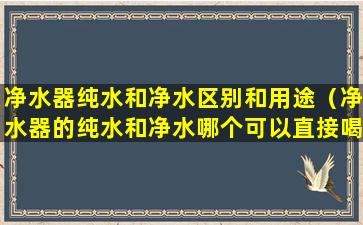 净水器纯水和净水区别和用途（净水器的纯水和净水哪个可以直接喝）