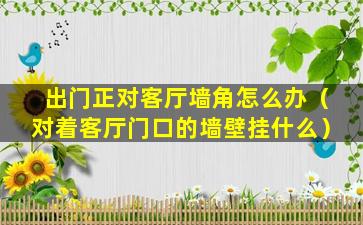 出门正对客厅墙角怎么办（对着客厅门口的墙壁挂什么）