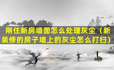 刚住新房墙面怎么处理灰尘（新装修的房子墙上的灰尘怎么打扫）