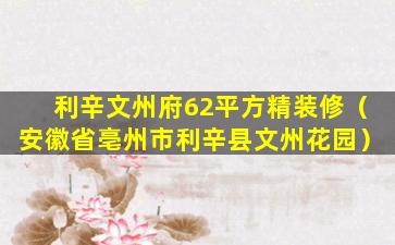 利辛文州府62平方精装修（安徽省亳州市利辛县文州花园）