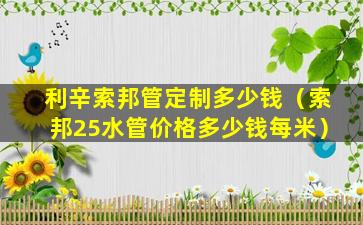 利辛索邦管定制多少钱（索邦25水管价格多少钱每米）