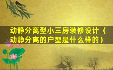 动静分离型小三房装修设计（动静分离的户型是什么样的）