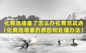 化粪池堵塞了怎么办化粪池疏通（化粪池堵塞的原因和处理办法）