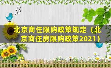 北京商住限购政策规定（北京商住房限购政策2021）