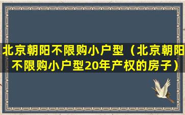 北京朝阳不限购小户型（北京朝阳不限购小户型20年产权的房子）