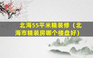 北海55平米精装修（北海市精装房哪个楼盘好）