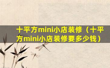 十平方mini小店装修（十平方mini小店装修要多少钱）