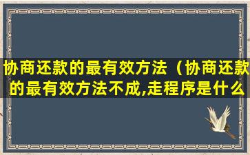 协商还款的最有效方法（协商还款的最有效方法不成,走程序是什么意思）