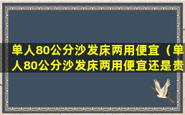 单人80公分沙发床两用便宜（单人80公分沙发床两用便宜还是贵）