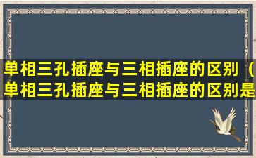 单相三孔插座与三相插座的区别（单相三孔插座与三相插座的区别是什么）