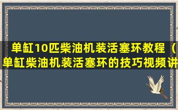 单缸10匹柴油机装活塞环教程（单缸柴油机装活塞环的技巧视频讲解一下）