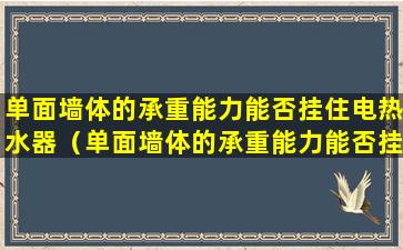 单面墙体的承重能力能否挂住电热水器（单面墙体的承重能力能否挂住电热水器管）