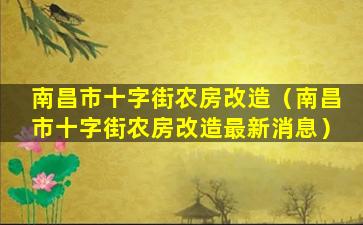 南昌市十字街农房改造（南昌市十字街农房改造最新消息）