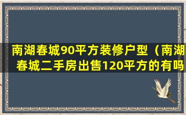 南湖春城90平方装修户型（南湖春城二手房出售120平方的有吗）