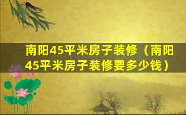 南阳45平米房子装修（南阳45平米房子装修要多少钱）