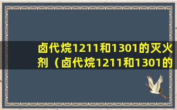 卤代烷1211和1301的灭火剂（卤代烷1211和1301的灭火剂能灭带电设备吗）