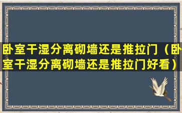 卧室干湿分离砌墙还是推拉门（卧室干湿分离砌墙还是推拉门好看）