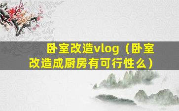 卧室改造vlog（卧室改造成厨房有可行性么）