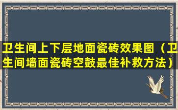 卫生间上下层地面瓷砖效果图（卫生间墙面瓷砖空鼓最佳补救方法）