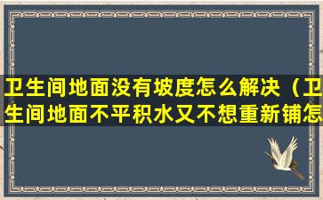 卫生间地面没有坡度怎么解决（卫生间地面不平积水又不想重新铺怎么办）