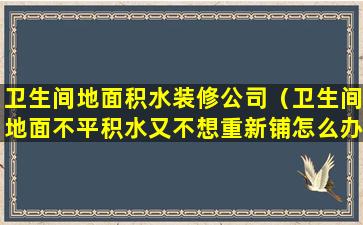 卫生间地面积水装修公司（卫生间地面不平积水又不想重新铺怎么办）