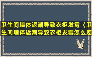 卫生间墙体返潮导致衣柜发霉（卫生间墙体返潮导致衣柜发霉怎么赔偿）