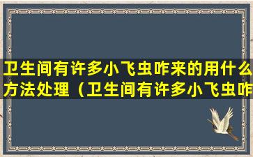 卫生间有许多小飞虫咋来的用什么方法处理（卫生间有许多小飞虫咋来的用什么方法处理呢）