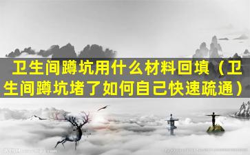 卫生间蹲坑用什么材料回填（卫生间蹲坑堵了如何自己快速疏通）