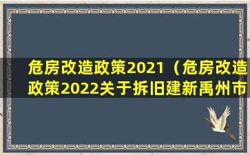 危房改造政策2021（危房改造政策2022关于拆旧建新禹州市）