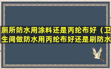 厕所防水用涂料还是丙纶布好（卫生间做防水用丙纶布好还是刷防水涂料好）