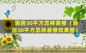 厨房30平方怎样装修（厨房30平方怎样装修效果图）