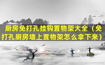 厨房免打孔挂钩置物架大全（免打孔厨房墙上置物架怎么拿下来）