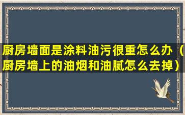 厨房墙面是涂料油污很重怎么办（厨房墙上的油烟和油腻怎么去掉）