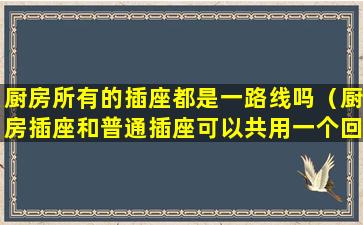 厨房所有的插座都是一路线吗（厨房插座和普通插座可以共用一个回路吗）