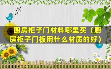 厨房柜子门材料哪里买（厨房柜子门板用什么材质的好）