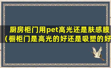 厨房柜门用pet高光还是肤感膜（橱柜门是高光的好还是吸塑的好）